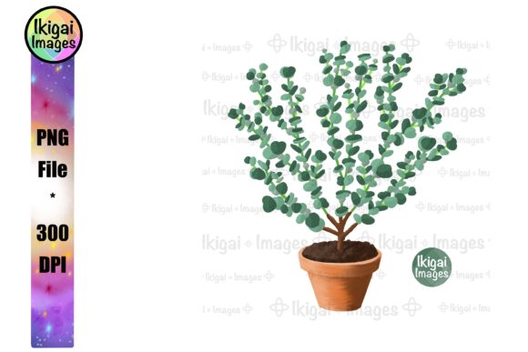 Download Eucalyptus, Potted Plant, Greenery, PNG - Potted Collection