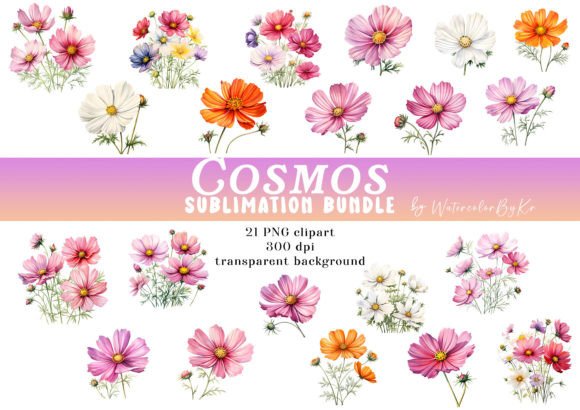 Download Watercolor Cosmos Flower Bundle Clipart - Flower bundle Collection