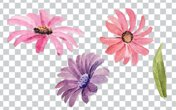 Download Watercolor Flower Bouquet and Frame Clip - Flower bouquet Collection